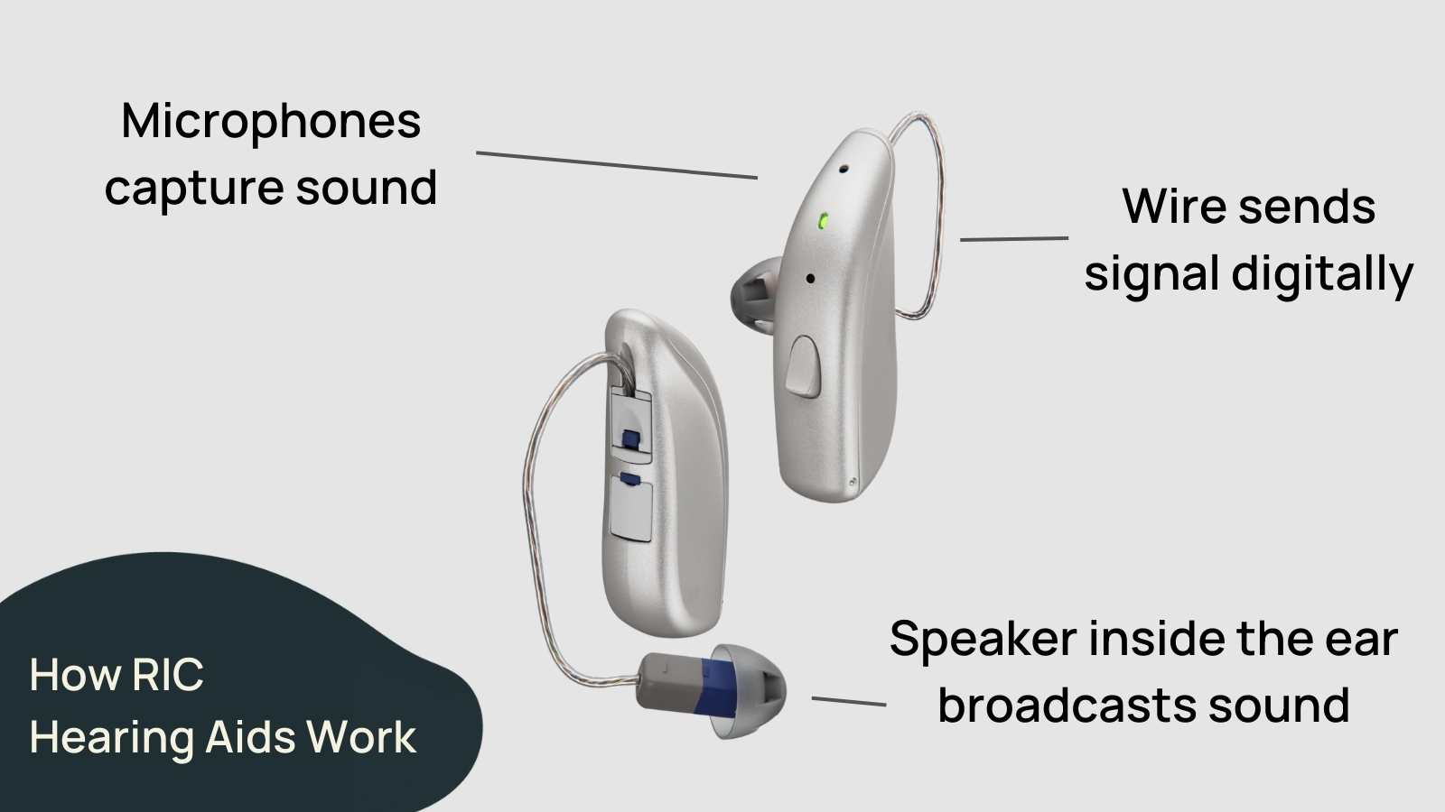 6 Best ReceiverInCanal (RIC) Style Hearing Aids REVIEWED